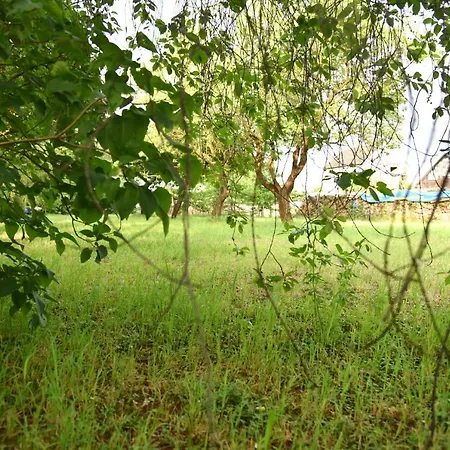 Ferienhaus Biene Wartin Buitenkant foto
